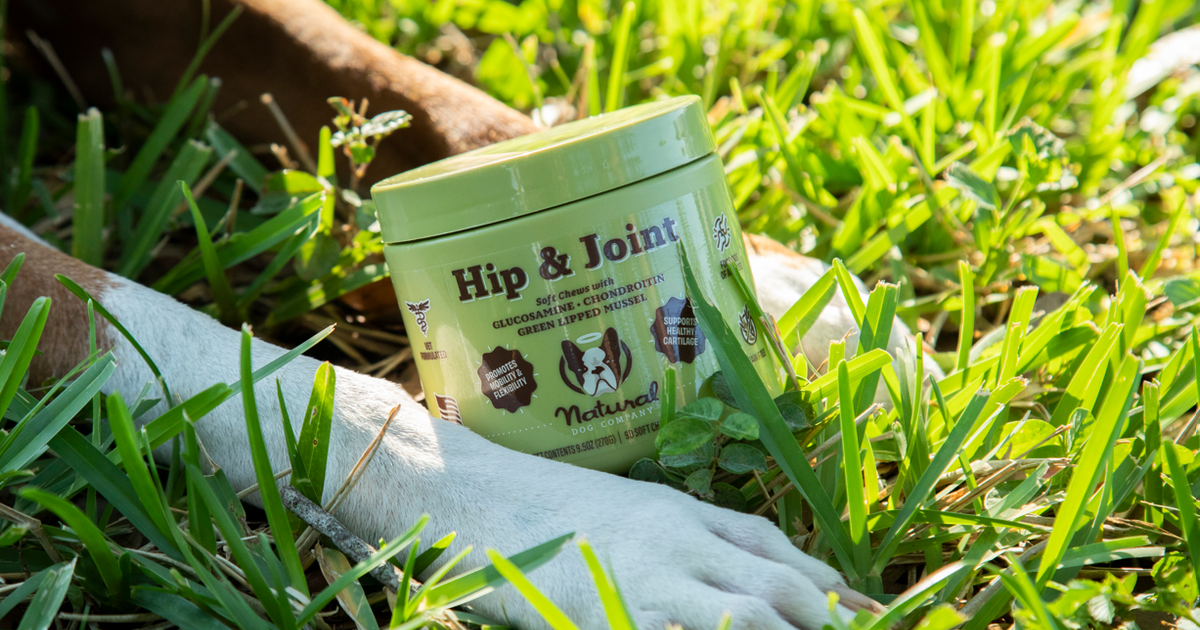 Hip & Joint Care 101 Tips for Happy Hips Natural Dog Company