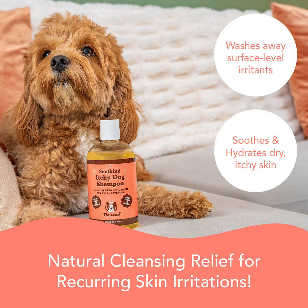 Skin & Coat Essentials Trio