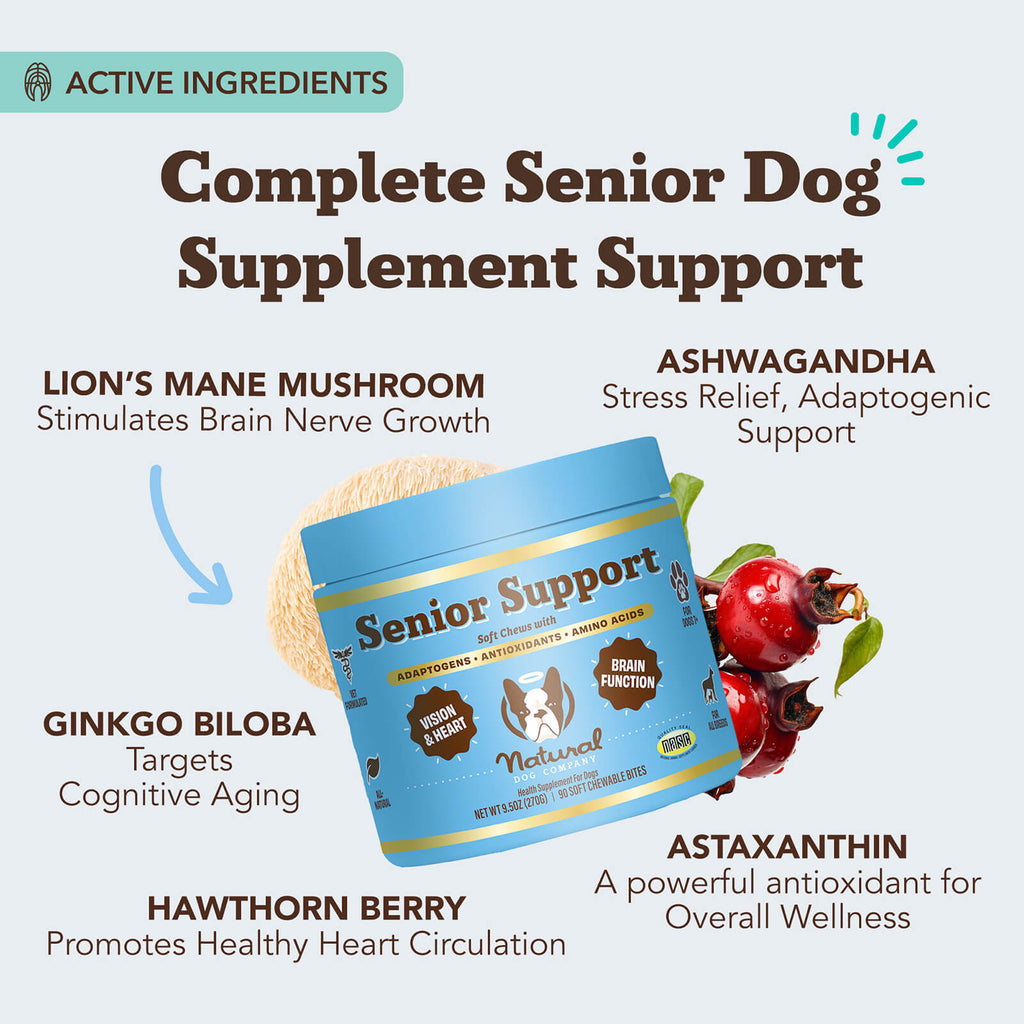 Senior Support Chew