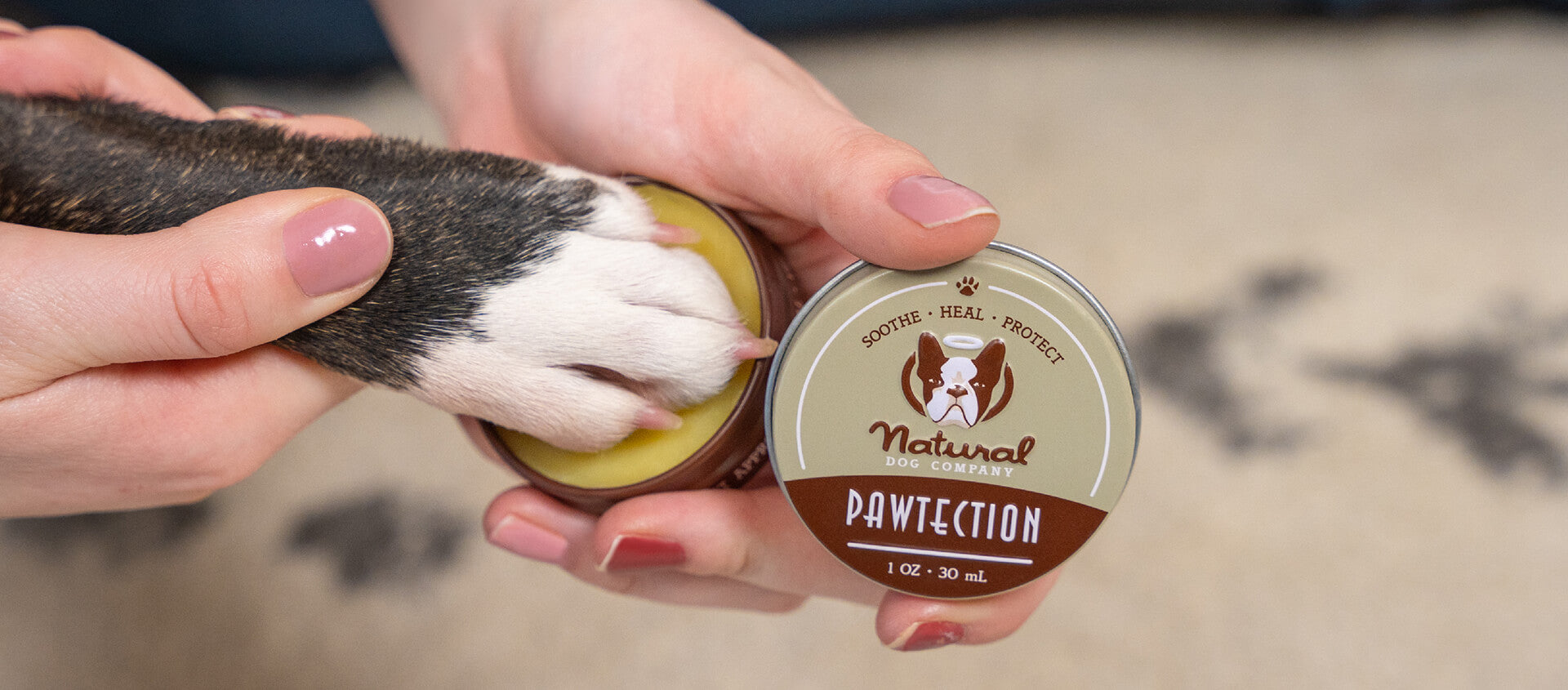 Dog Licking Paws? How to Remedy Irritated Dog Paws Natural Dog Company
