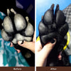 Itchy Paw Pack