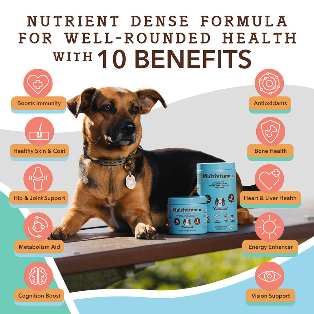 Multivitamin Supplement