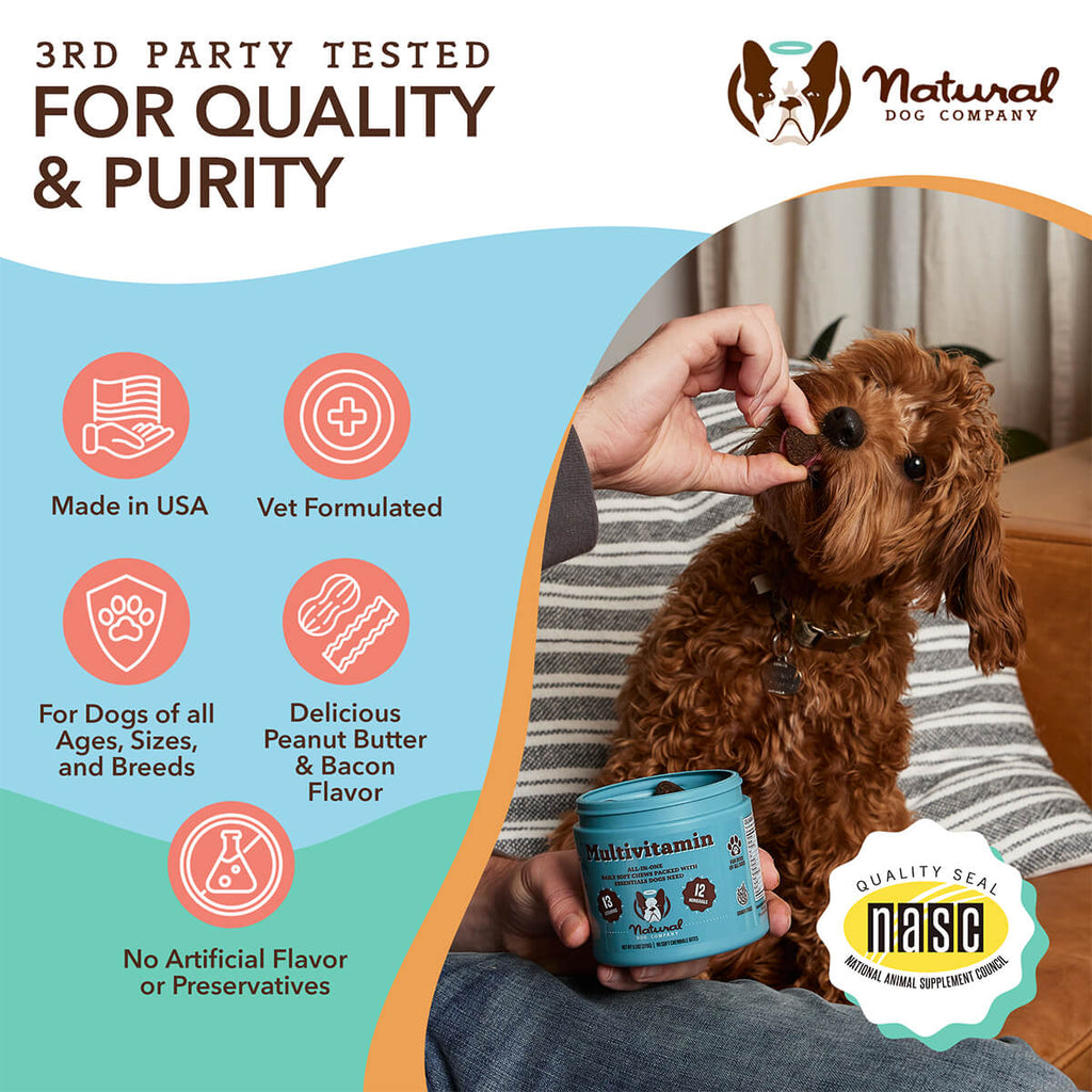 Multivitamin Supplement