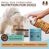Multivitamin Supplement
