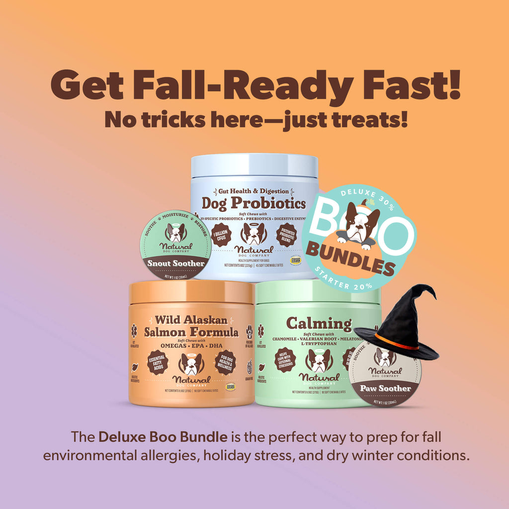 Deluxe Boo Bundle