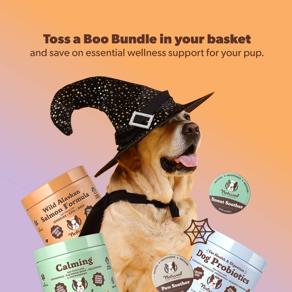 Deluxe Boo Bundle