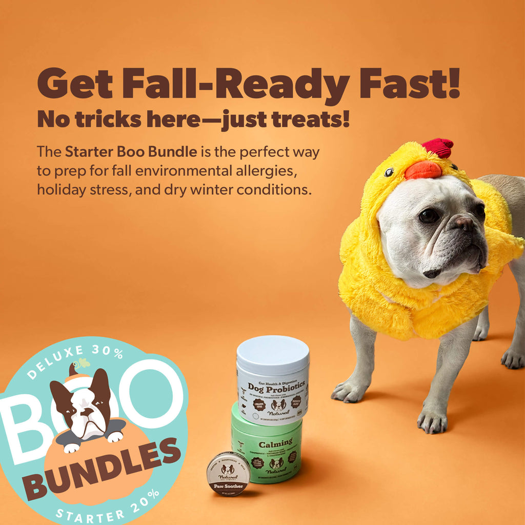 Starter Boo Bundle