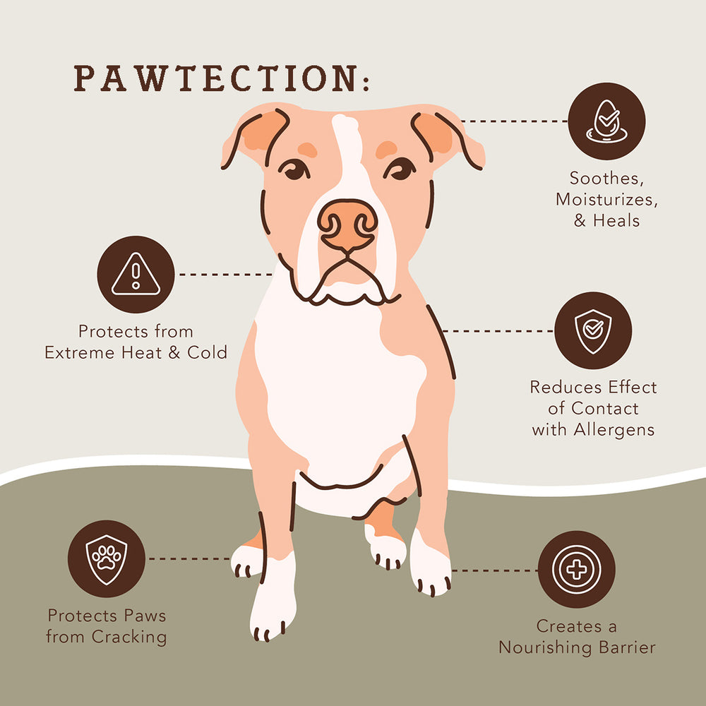 Paw Soother® + PawTection