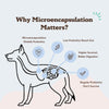 Dog Probiotics Supplement