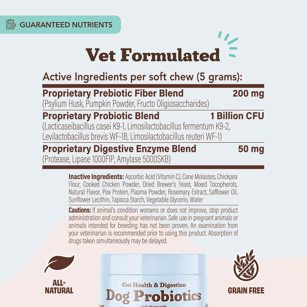Dog Probiotics Supplement