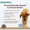 Dental Powder