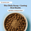 Dental Powder