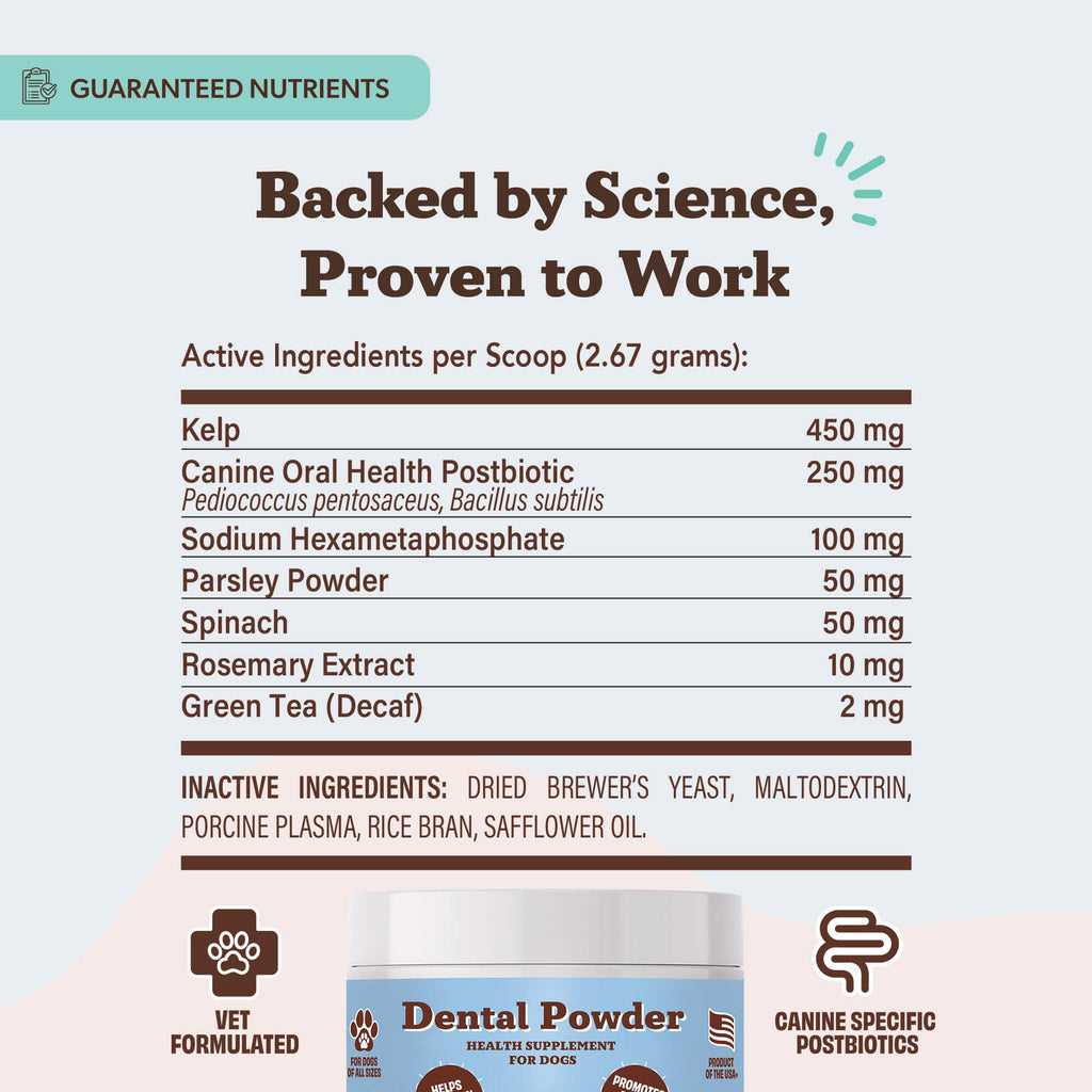 Dental Powder