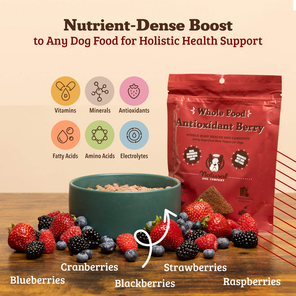 Antioxidant Berry Granules