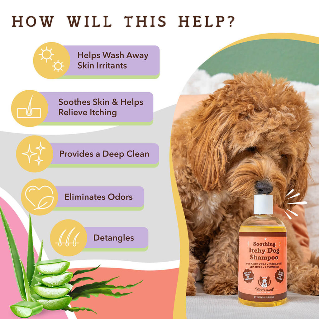 Itchy Dog Shampoo