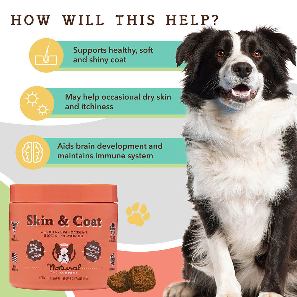 Skin & Coat Supplement
