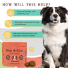 Skin & Coat Supplement