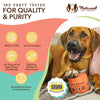 Skin & Coat Supplement