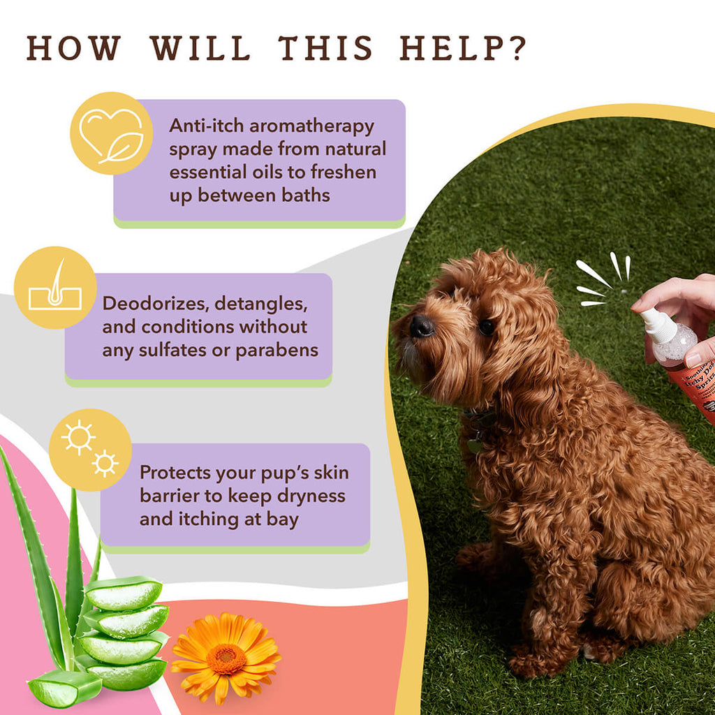 Itchy Dog Spritz