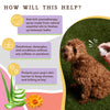 Itchy Dog Spritz