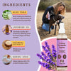 Calming Lavender Spritz