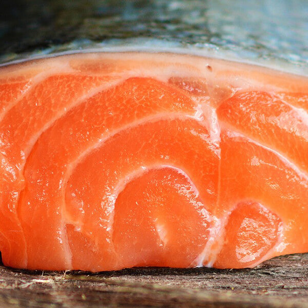 
    Salmon Oil