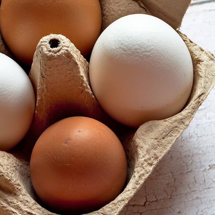 
    Eggshell Membrane