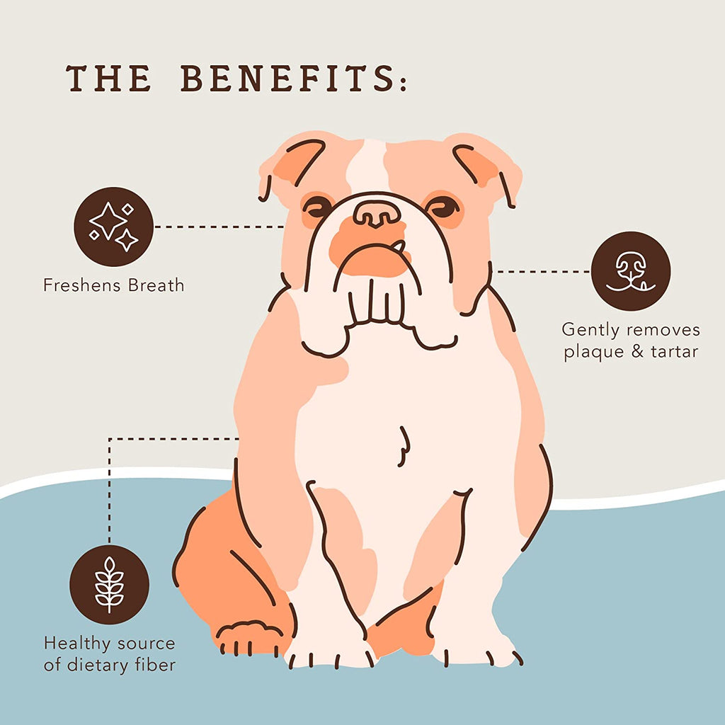 Dental Treats