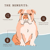 Dental Treats