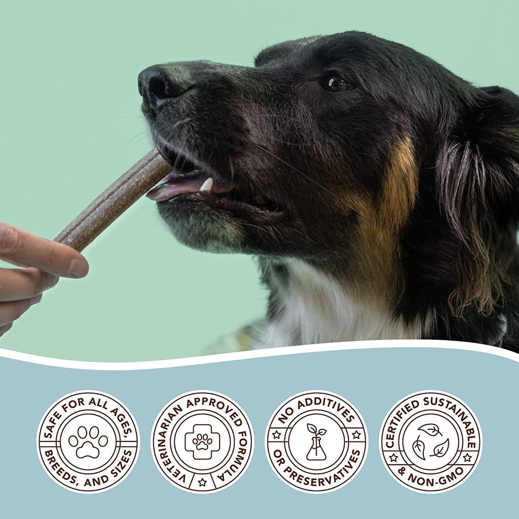 Dental Treats