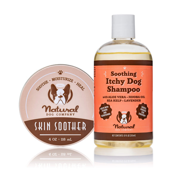 Natural dog wash for itchy clearance skin